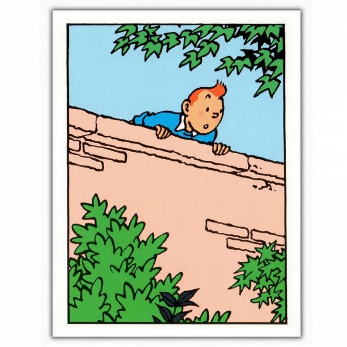 GREETING CARDS: Tintin Wall